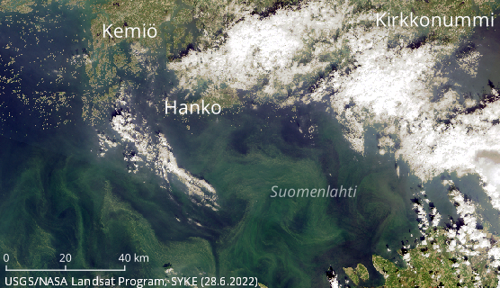 Sinilevähavainto satelliittikuvassa